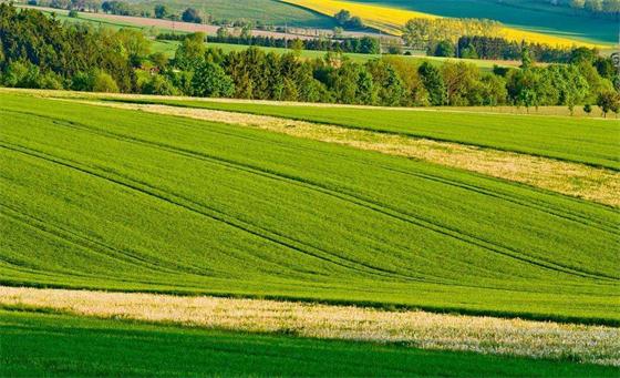 農業農村部：加大綠色農業補貼力度!